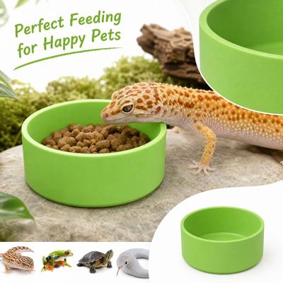 Round Green Plastic Reptile Feeding Bowl, Food Dish for Lizards and