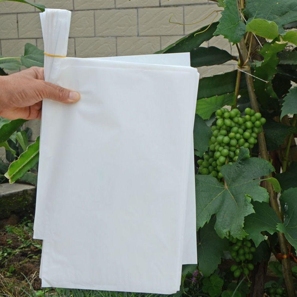 100pcs Semi Transparent Grape Protection Bags Waterproof Against Insect Pouch Garden Tool