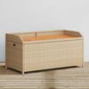 VidaXL Storage Bench, Toy Chest, Storage Furniture, Garden Terrace Patio Organizer, Beige Resin Mix 365951