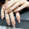 Mermaid Chrome Nail Powder Ice Transparent for Aurora Powder Mirror Manicure Pig