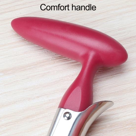 2 in 1 Apples Corer And Peeler, Stainless Steel Fruit Core Remover, Retractable Apples Slicer Tool for Pear, Kitchen Gadget