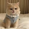 Pet Fleece Vest Small Dog Striped Sweater Teddy Bichon Cat Winter Warm Clothes