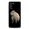 Custodia per Telefono Capibara Cartone Animato Carino Per Samsung Galaxy S23 Ultra S22 S21 S20 FE 5G S10 S10E S9 S8 Plus Note 20 Cover Morbida Paraurti