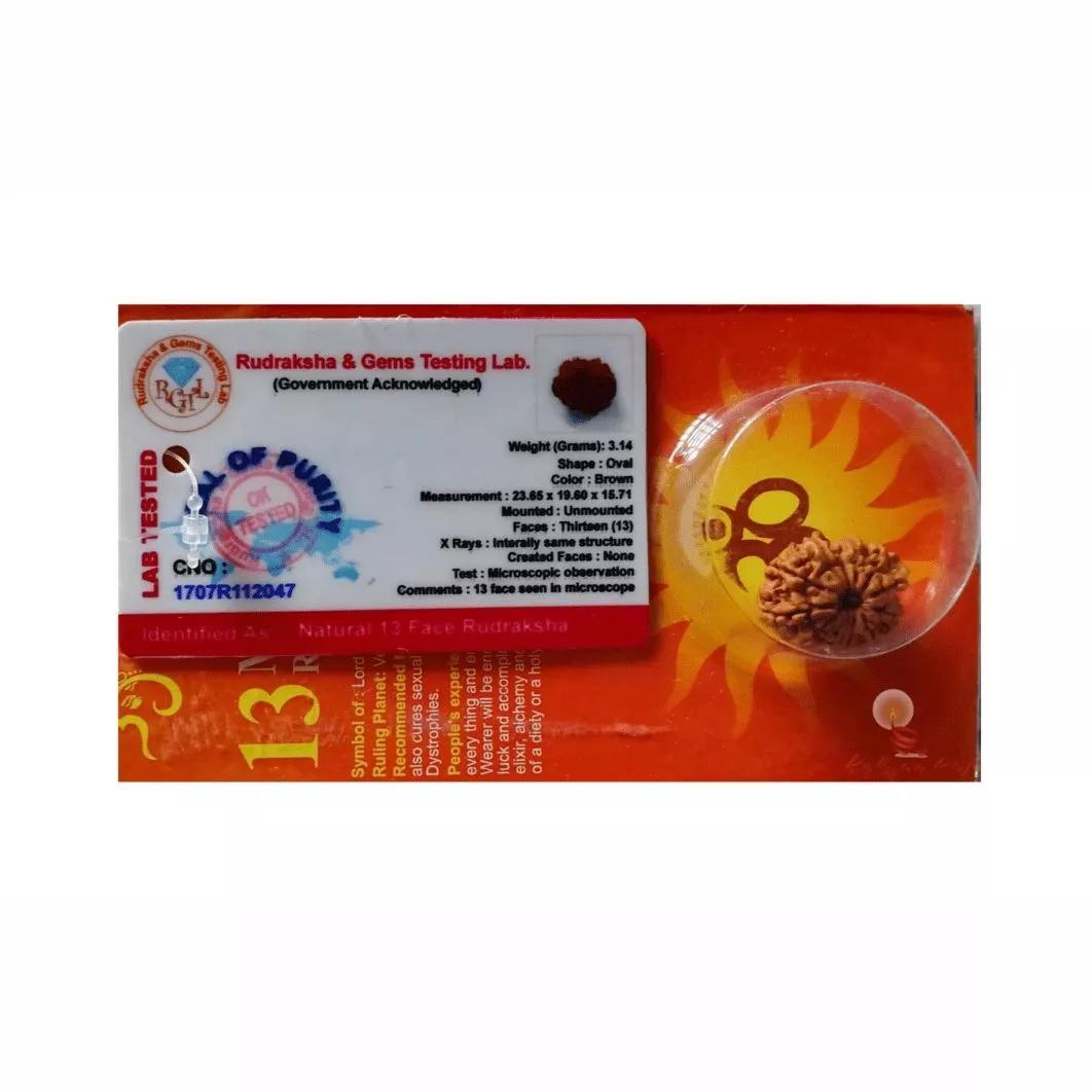 Рудракша сертифицированная (13 мукхи), 13 Mukhi Certified Rudraksha (Nepal), Kalyan Puja