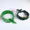 Paisley Cycling Bandana & Hip Hop Headband for Outdoor Sports & Street Dance