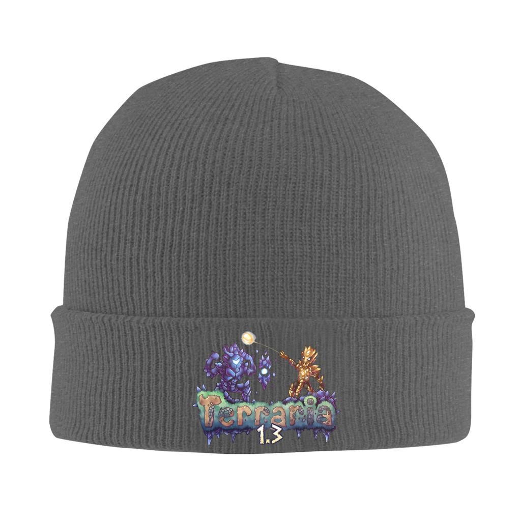 Great Model Terraria Game Christmas Bonnet Hats Beanie Hats Autumn Winter Graphic Knit Hat Street Y2K Men Women Sport Warm Cap