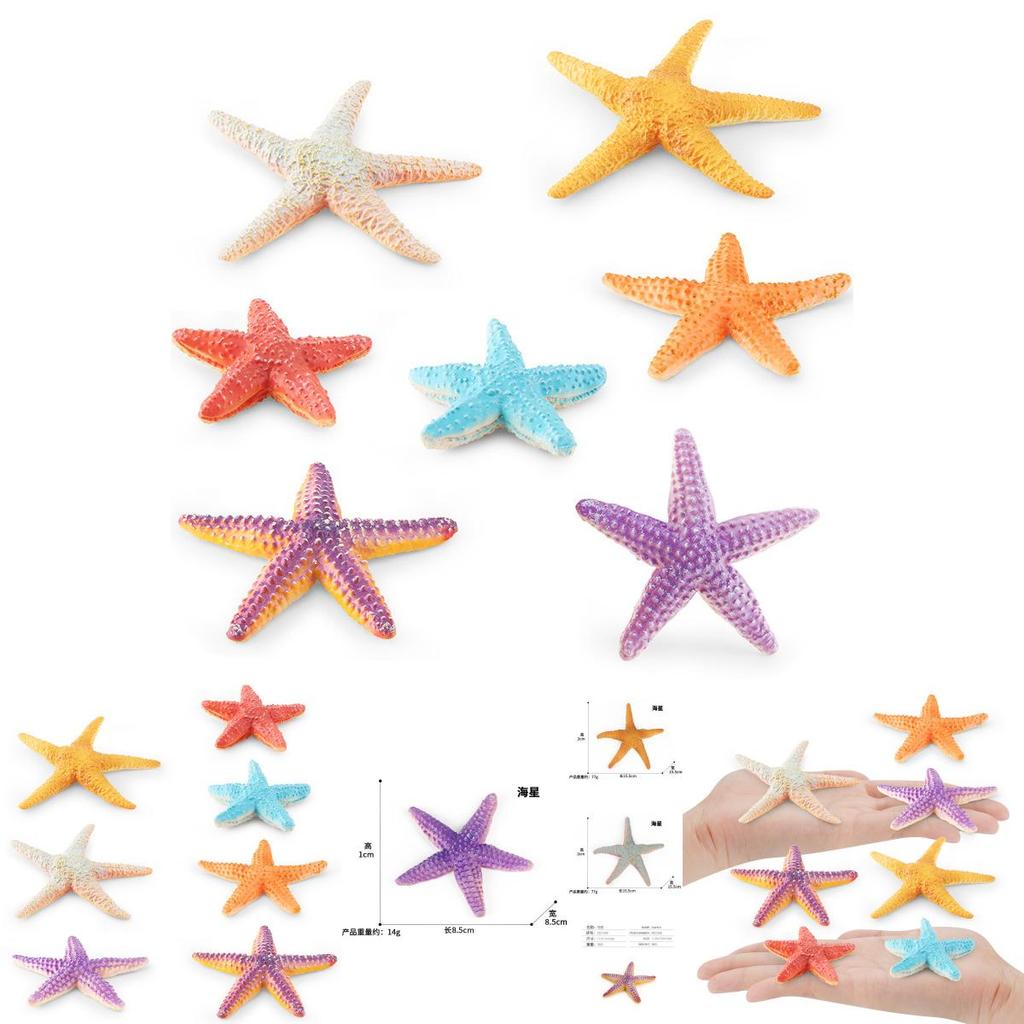 Lifelike Five-point Starfish Figurine Pvc Static Model Perfect For Beach Theme Decor