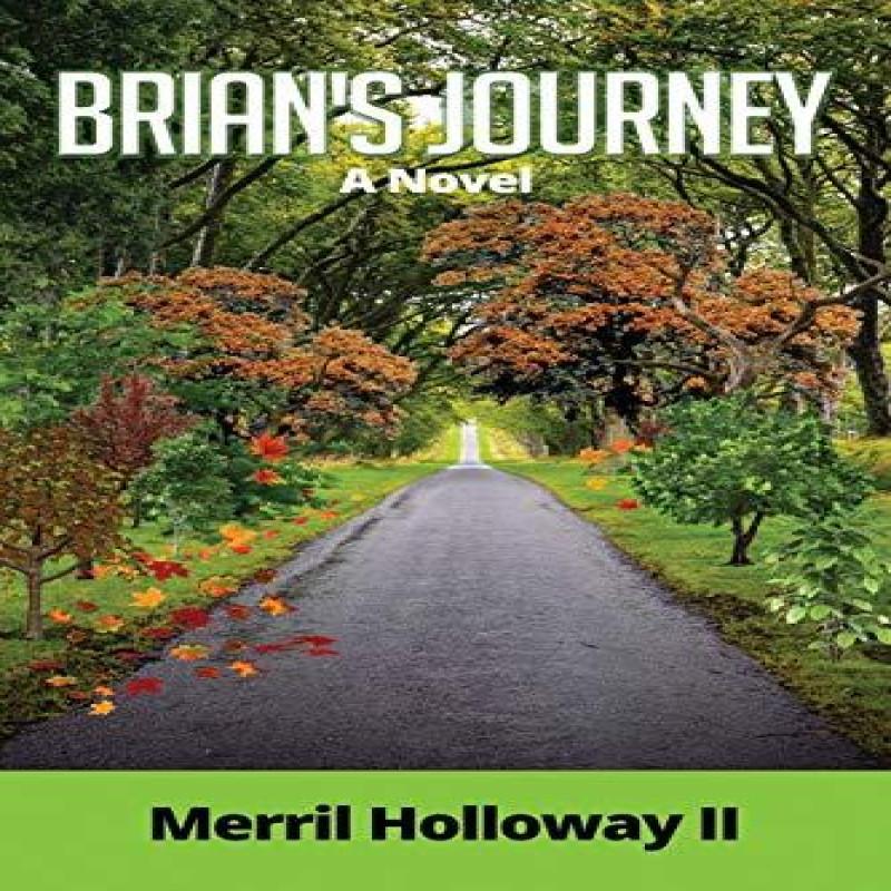 Brians Journey by Merril Holloway Paperback Book 9781732824096