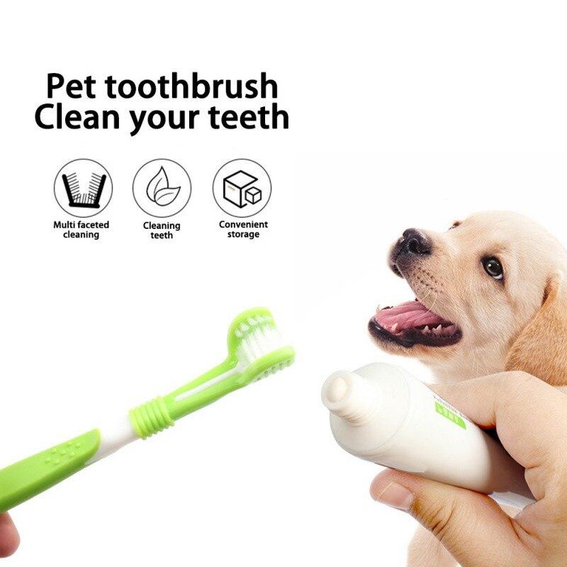 wisdom dog toothbrush