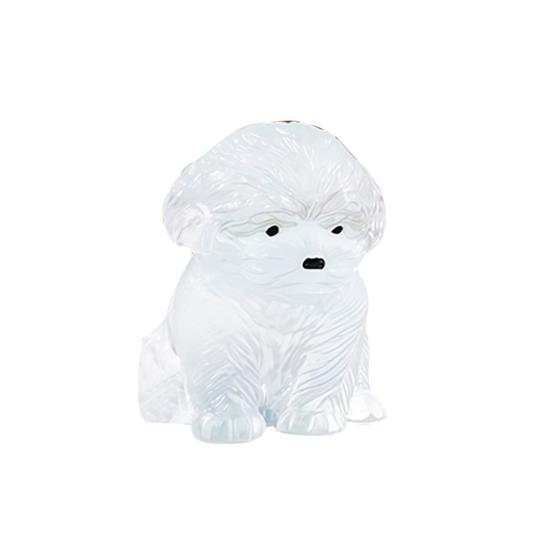 Stress Relief Toy with Bubble Injector Decompression Dog Cat Squeeze Toy Soft Stress Ball Relaxation Fidget Sensory Toy