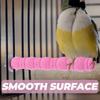 Parrot Perch Natural Wood Stand Stick Sturdy Claw Grinding Stick for Bird Cage Rest Play Increase Activity Bird Cage Perch Wood