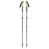 Black Diamond Alpine Carbon Cork S19 Hiking Poles