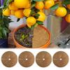 Fiber Mulch Pad, Circular Plant Film with Hole, Flat Control Pad, Flowerpot Mat for Gardening and Planting