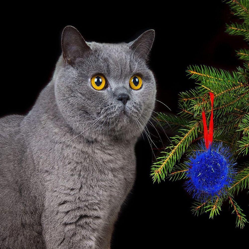 50 stücke Indoor Glitter Bälle Interaktive Pom Pom Bälle haustier Spielzeug Katze Sparkle Bälle