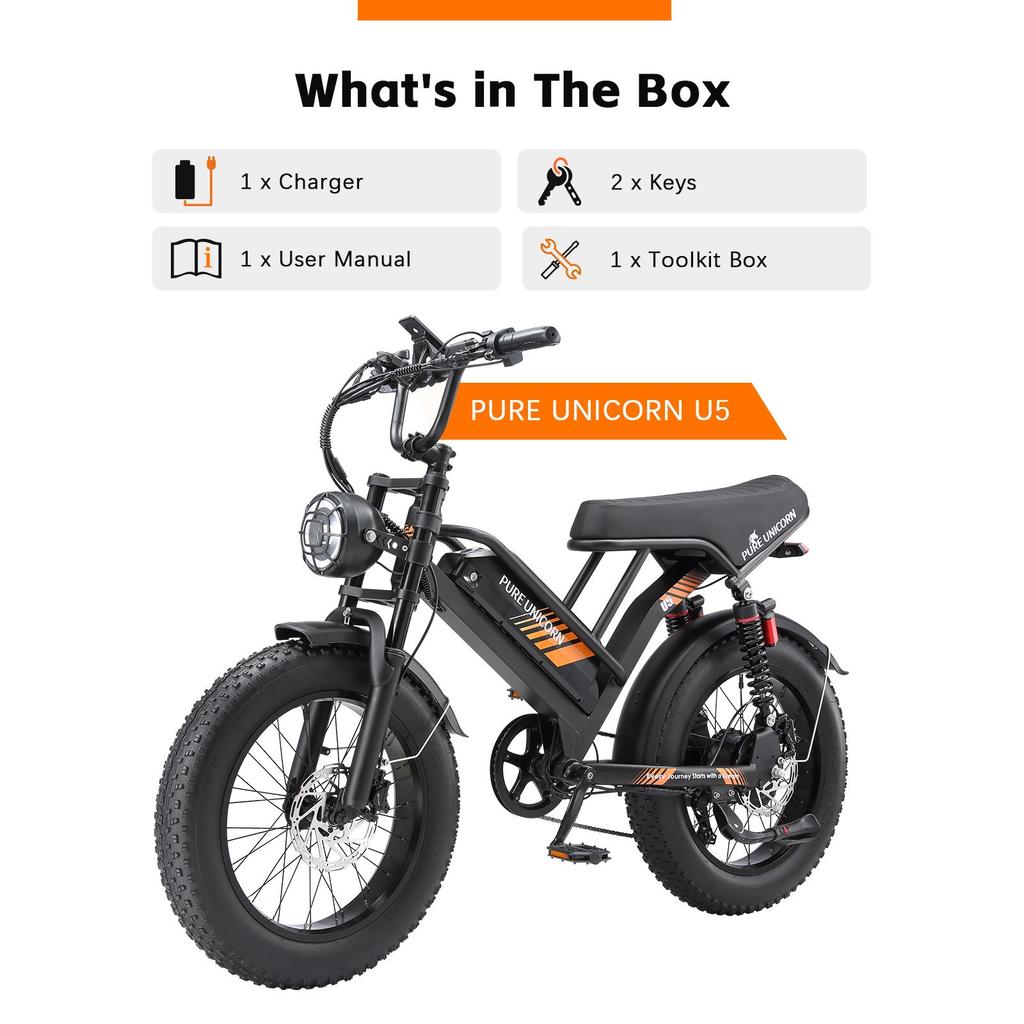 PURE UNICORN U5 City Electric Bike  48V 1000W Motor  48V 19.2Ah Battery  45km/h Max Speed 55-80km Max Range 20 x 4.0" Fat Tires