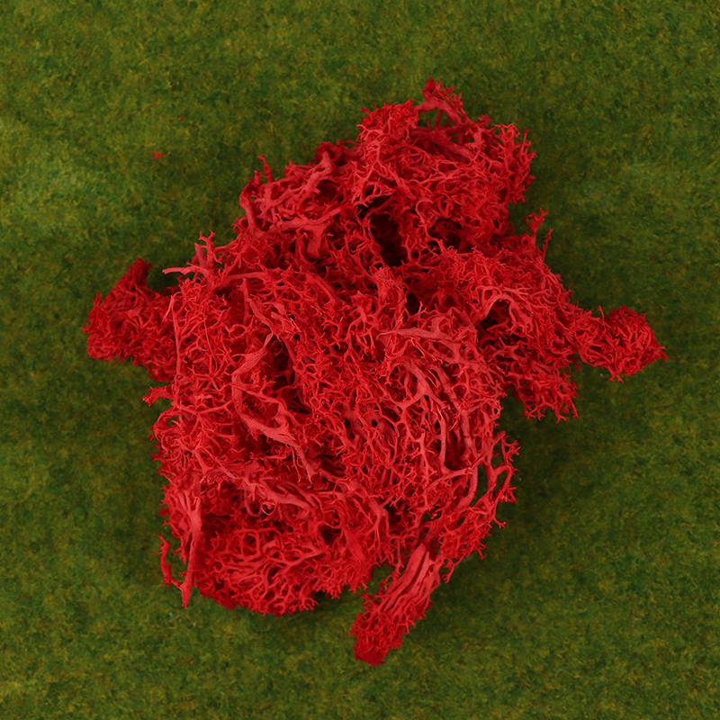 Colorful Natural Artificial Moss Plant DIY Dried Reindeer Moss Decor Resin Epoxy Filling Jewelry Garden Decorate Supplies