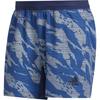 Casual Shorts Men's Blue FT7929