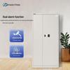 Hangtian Runpu Security File Cabinet