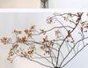 Wabi-Sabi Style Mountain Preserved Flower & Dried Branch Floor Ikebana Ornament