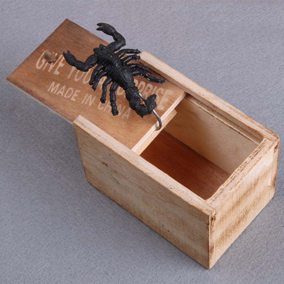 Box bug