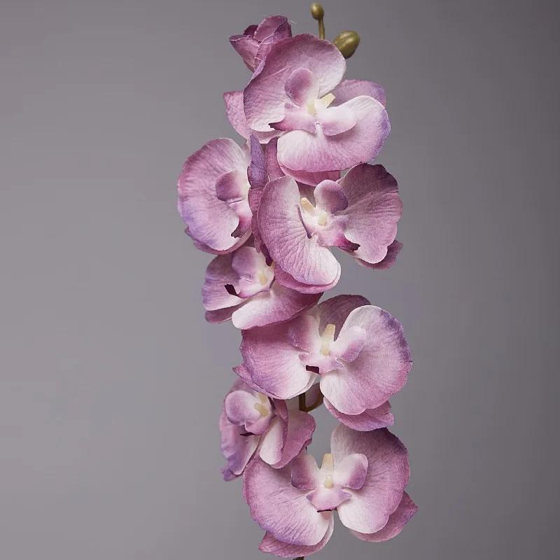 5pcs 9-Heads Artificial Butterfly Orchid Silk Flower 68CM Fake Phalaenopsis Wedding Home Decoration Artificial Flowers