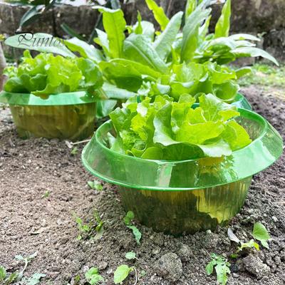 10/15/20Pcs Garden Cloches Planter Slug Collars Weather-Resistant Reusable Snail Defense Plant Cover Protectors