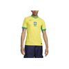 Nike Brazylia 2024 Mecz Domowy ADV Autentyczna Koszulka Dynamiczny Żółty/Cytrynowy Szyfon/Zielona Iskra Męska Odzież Uliczna FJ4270-706