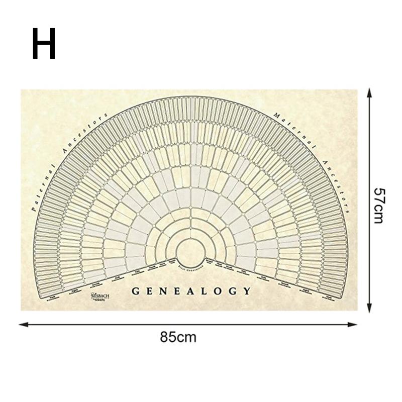Buy 1PC Wall Art Blank Fillable Family Tree Genealogy Poster Chart ...