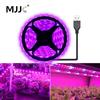5V 2835 USB LED Grow Strip Light Full Spectrum Plant Growing Tape Lamp for Vegetable Flower Greenhouse Cultivo 1M 2M 3M 4M 5M