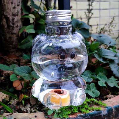 Kit di irrigazione automatica per giardino da 500 ml Strumento di irrigazione automatica Sistema di irrigazione a goccia per interni Piante in vaso Irrigatori per fiori