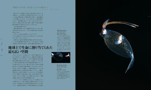 Deep Sea [The Strange and Colorful World of the Deep Sea]