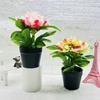 Peony Flower Artificial Pot Potted Plant For Home Decor And Living Room Display