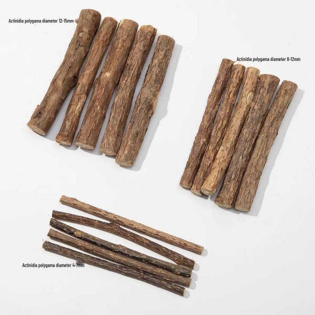 Matatabi Cat Chewing Stick - Teeth Cleaning, Self-Entertainment, Durable Decompression Toy