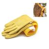 A Pair Of Protective Beekeeping Gloves Net Goatskin Bee Keeping Vented Long Protective Sleeves Beekeeping Equipment And Tools