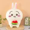 Neue Kawaii Chiikawa Kuscheltierpuppe Hachiware Usagi Plüschtier für Kinder Geburtstagsgeschenk Niedliches Wassermelonen-Thema Stressabbau-Kissen