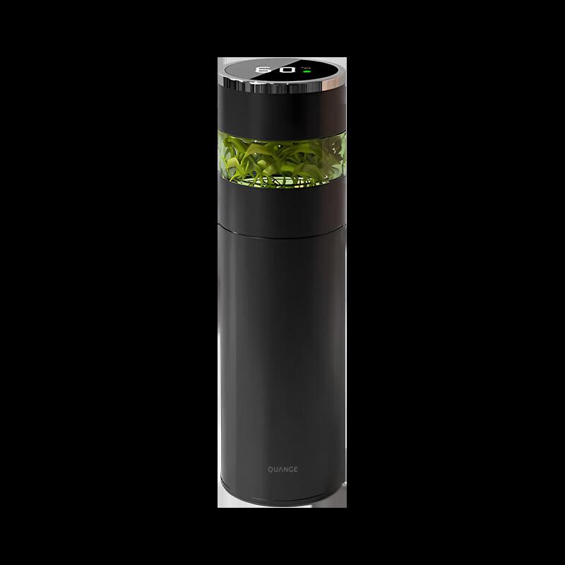 Temperature Display Insulated Tea Infuser Mug