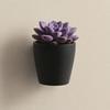 3D Printed Wall Planter, Hanging Indoor Flower Pot for Succulents, Minimalist Black Plant Holder for Home Office