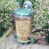 Hanging Bird Feeder Transparent Plastic Automatic Feeder With Lid Creative Suction Cup Outdoor Bird Feeding Device For Bird
