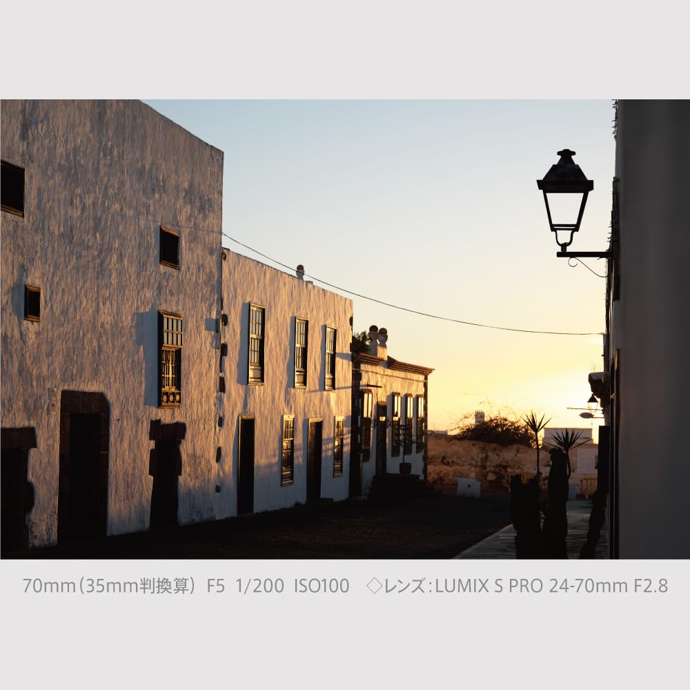 Panasonic Mirrorless Camera Lumix High Magnification Zoom Lens Kit Jet Black Full-Size S9H-K DC-S9H-K