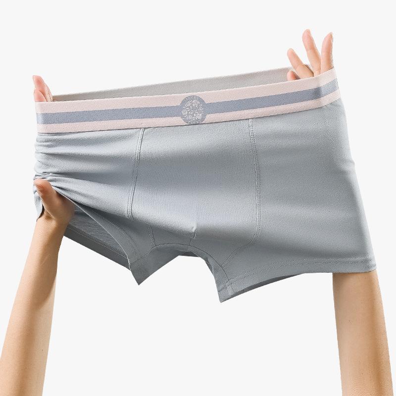 Plus Size Men's New Summer Cotton Anti Bacterial Breathable Sport Boxer Briefs
