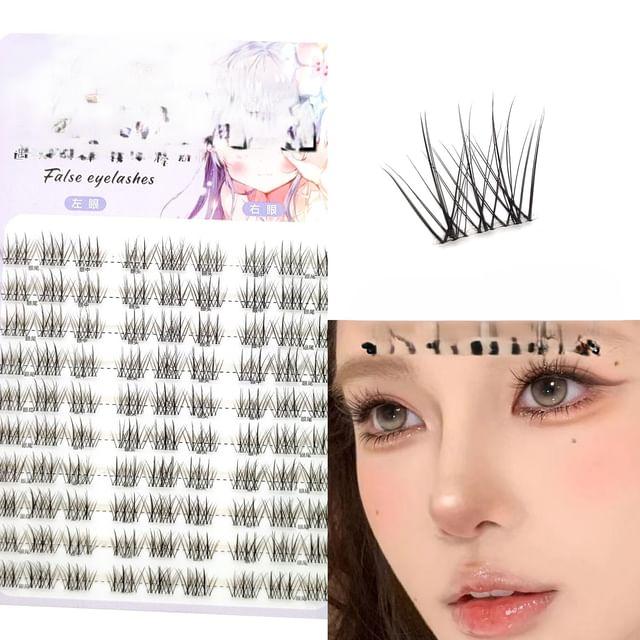 Aimo - Individual Cluster False Eyelashes