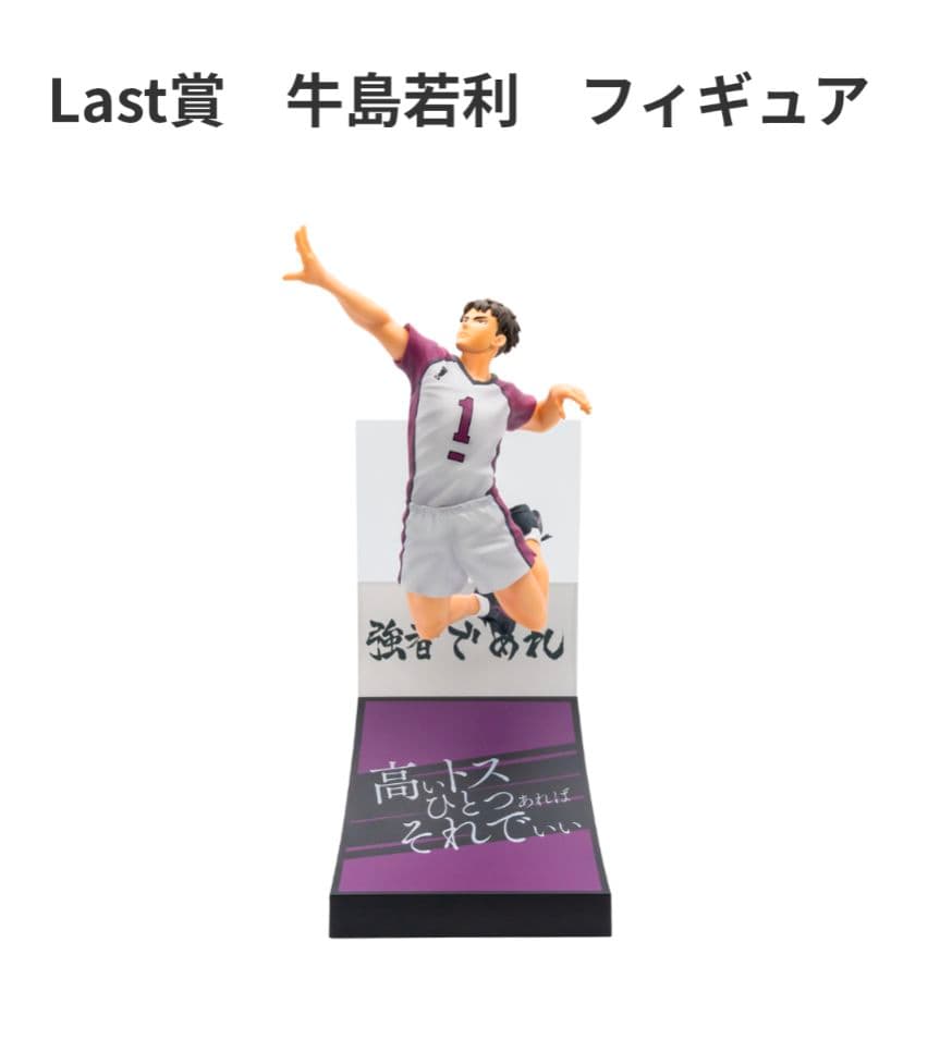 

[USED] Ushijima Wakatoshi Happy Lottery Haikyu!! Last Prize