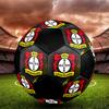 SIZE 5 Bayer 04 Leverkusen Soccer Ball Colorful All Ages Machine Stitched PVC Competition Ready Durable High-Bounce