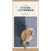 Multifunctional Self Adhesive Wear Resistant Cat Climbing Pad Cat Scratcher Wall Sticker