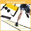 Premium Agility Ladder For Soccer And Volleyball Training