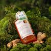 ZuoLanya Ginger Extract Oil Control Shampoo
