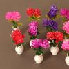 1:12 Dollhouse Miniature Vase Potted Plants Flowerpot Bonsai Model Garden Home Decor Toy Doll House Accessories