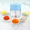 Crusher And Garlic Chopper, Portable Onion Mincer Food for Vegetables