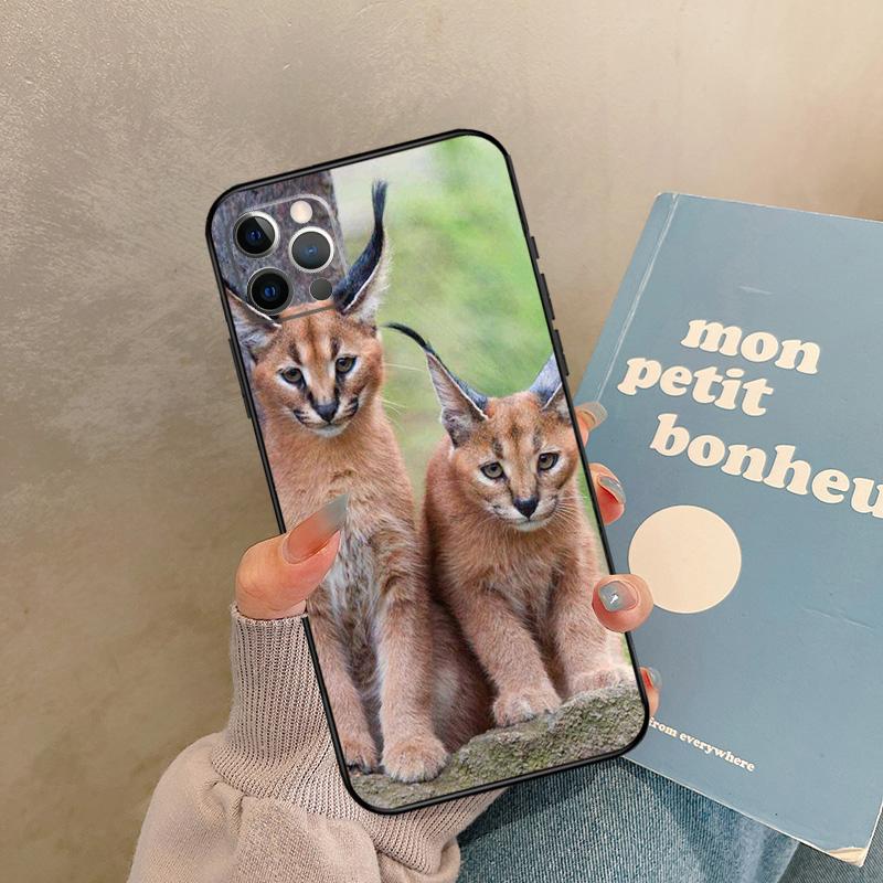 

African Lynx Caracal Big Cat Case For 17 Air iPhone 16 15 14 13 12 11 Pro Max 12 mini XR 15 16 Plus 16e Back Cover Shell iPhone 16 Pro