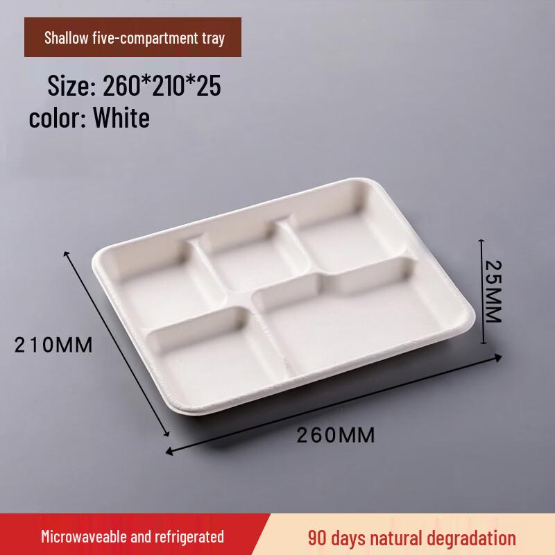 Biodegradable Divided Takeaway Food Containers 100